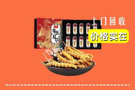 孝感大悟县回收冬虫夏草