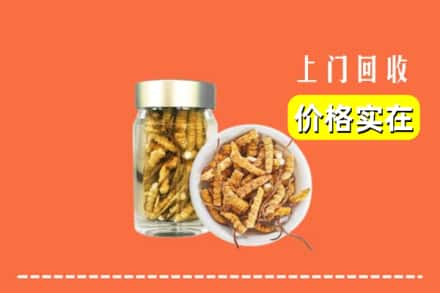 孝感大悟县回收散虫草