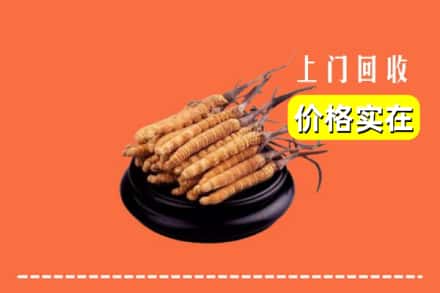 孝感大悟县回收冬虫夏草